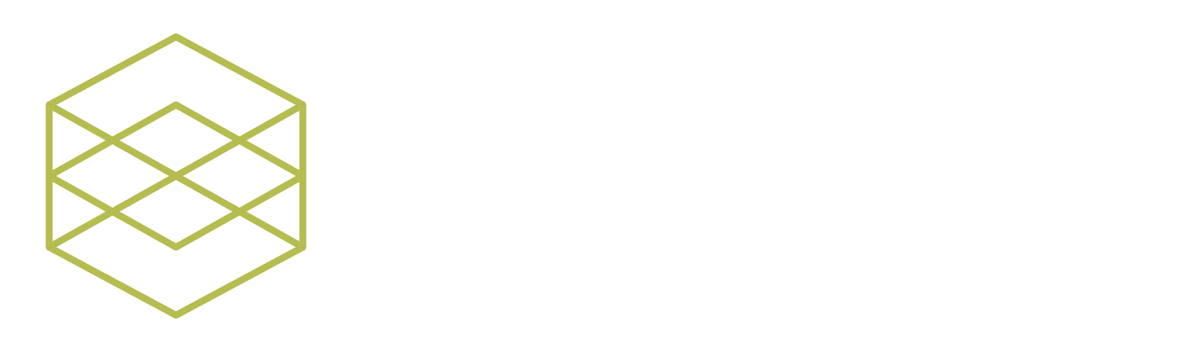 Vumon Capital Logo
